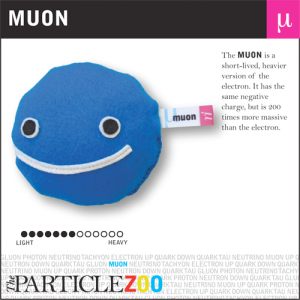 muon