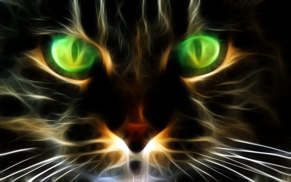 cat_eyes_by_mbican-d5kzq51 - Atom Ecology