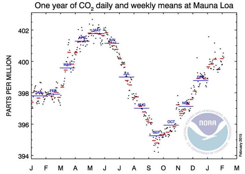 Mauna Loa CO2 levels Jan 2014-Jan 2015