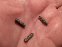 Cold Cold Fusion Ecology - Atom Ecology