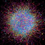 quantum entanglement