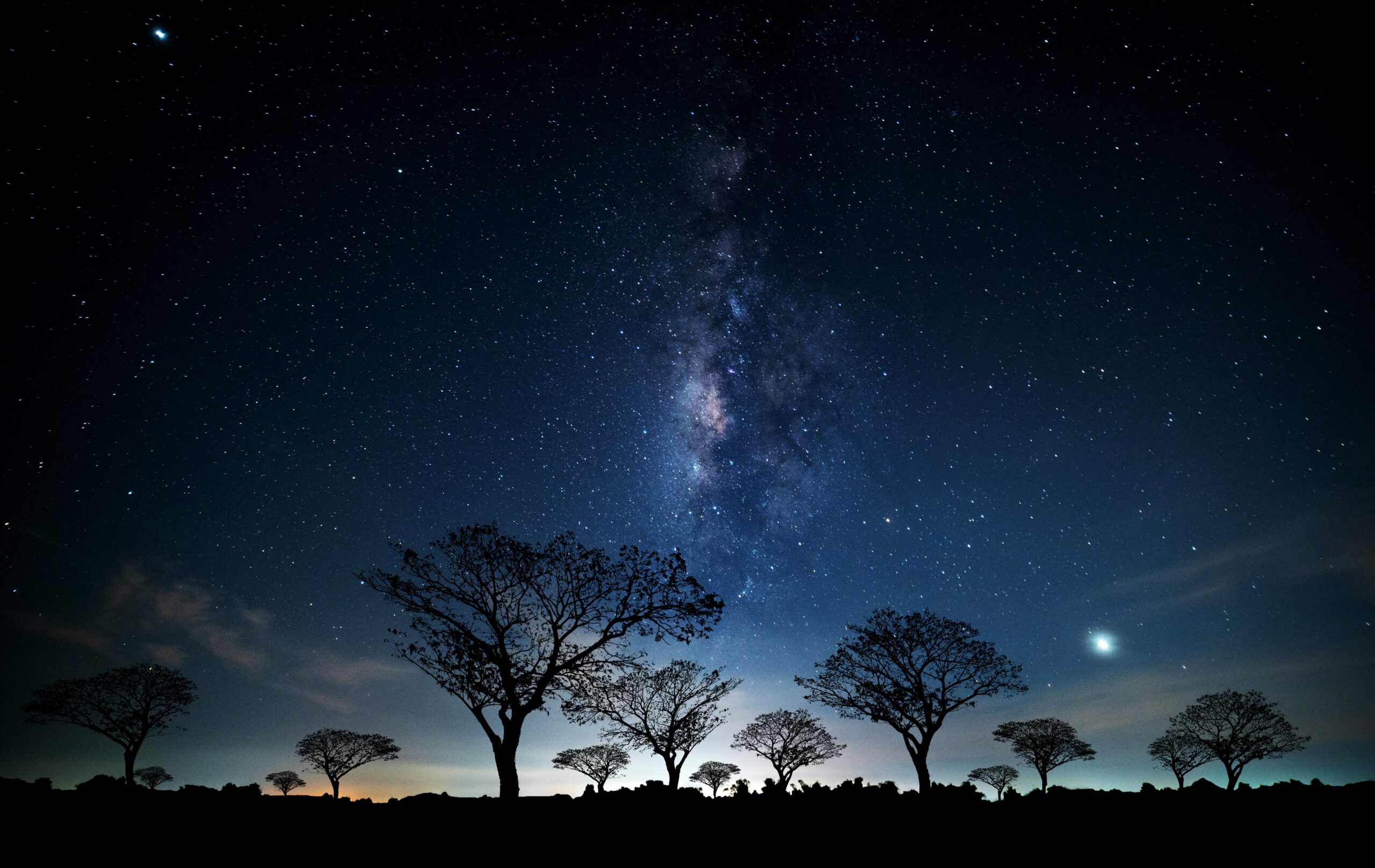 Space is an ecosystem