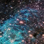 JWST Universe