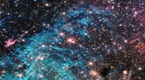 JWST Universe
