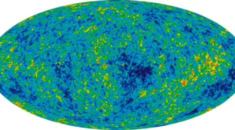 From Gravitons to Planckton: An Ecological view of the Theory Of Everything