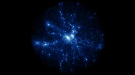 Universe "the whole dang thing"