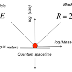 Plancktons scale