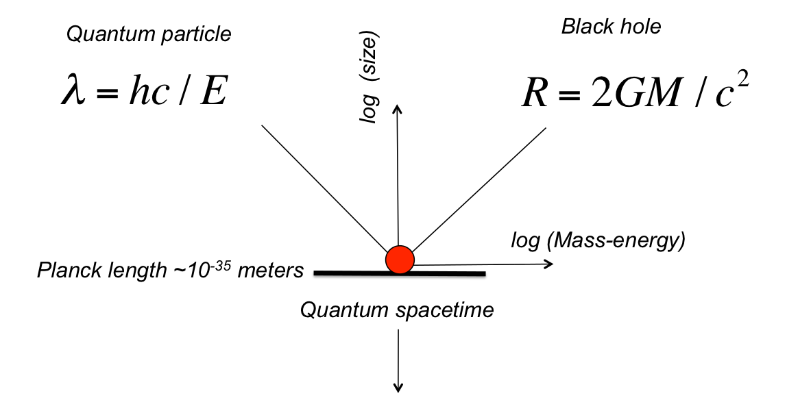 Plancktons scale